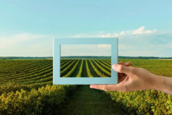 Loan Against Agricultural Land in India: Key Facts & Benefits