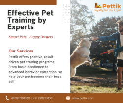 Dog Walking Service Near You