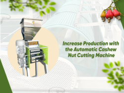 Increase Production with the Automatic Cashew Nut Cutting Machine