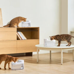 Smart, Automated Solutions Catlink for Hassle-Free Pet Care