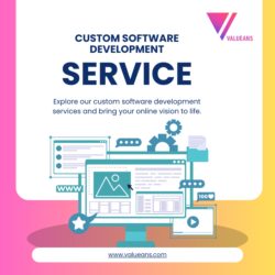 Custom Software Development Services at Valueans