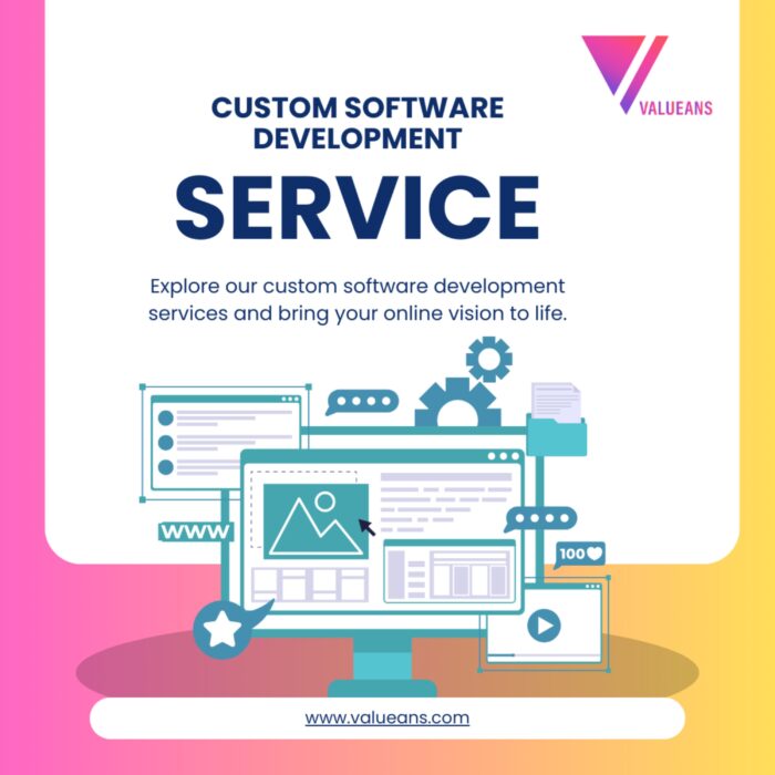 Custom Software Development Services at Valueans