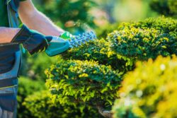 commercial landscaping edmonton