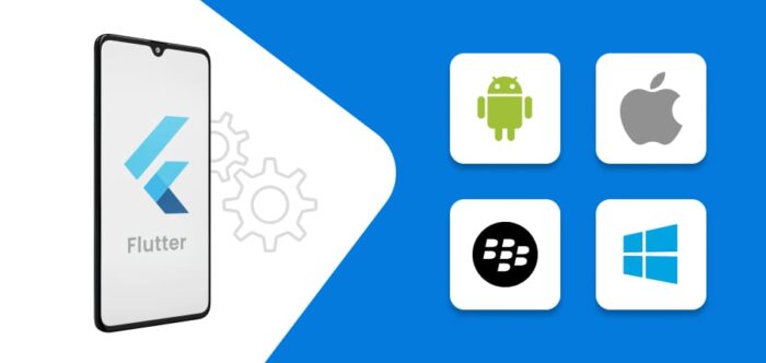 Efficient Flutter App Development Company in India for Cross-Platform Apps