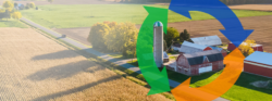 High-Speed Fiber Internet for Seamless Connectivity