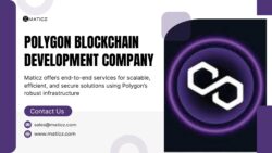 polygon Blockchian Development