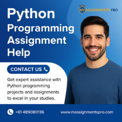 Reliable Online Python Programming Homework Assistance