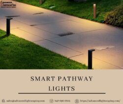 Smart Pathway Lights