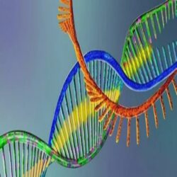 Spatial Genomics Transcriptomics Market is growing amid VC Funding Surge