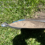 Trusted Soil Insights for Smarter Land Use Decisions