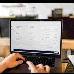 Business Accountant