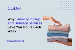 Why Laundry Pickup and Delivery Services Help You to Save Hours Every Week