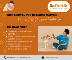 Proffesional Pet Boarding Service Delhi