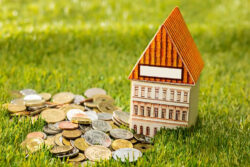 Plot Loan vs Home Loan: Which One Should You Choose?