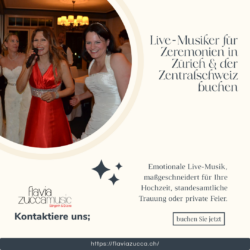 Musikduo mit Gitarre und Gesang