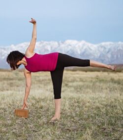 Sierra Shanti – Yoga, Tai Chi & Wellness in Bishop, CA