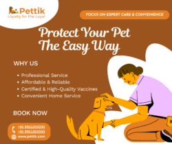 Pet Vaccination Services | Affordable Pet Vaccines Near You : Pettik