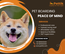 Professional Pet Boarding Services in Delhi