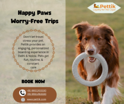 Professional Pet Boarding Services in Delhi