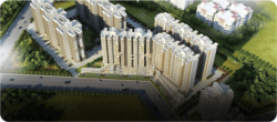 Real Estate Developer India