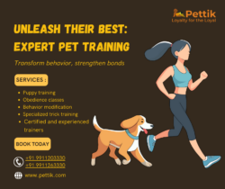 Discover the Best Pet Grooming Service in Noida with Pettik