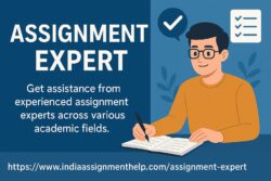 Top Assignment Expert Online – Fast, Reliable & Affordable Help