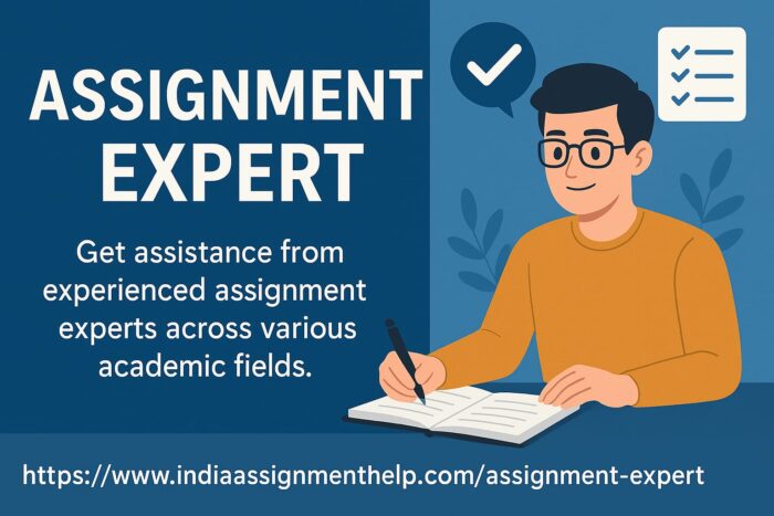 Top Assignment Expert Online – Fast, Reliable & Affordable Help