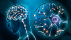 India vs Australia: Where Are the Better Neurosurgeons? 🧠🌏