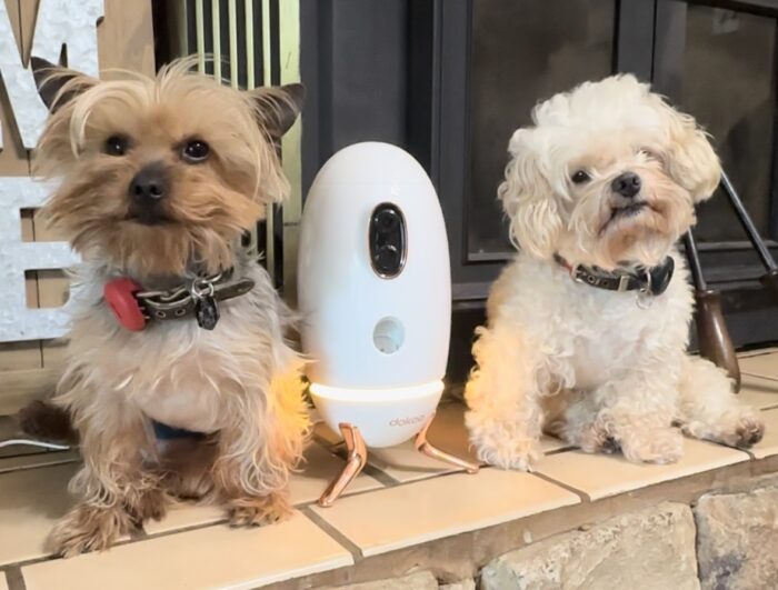 Dokoo dog camera snack dispenser