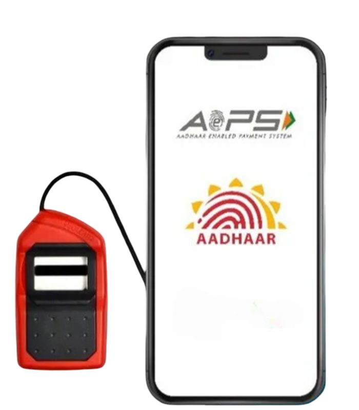 AEPS API Provider