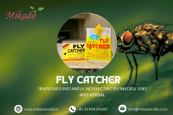 Mikado Fly Catcher: The Smart Solution for a Fly-Free Home