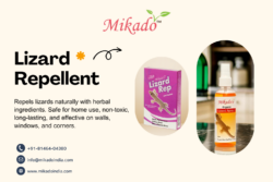 Why Mikado is the Best Lizard Repellent for Indian Homes
