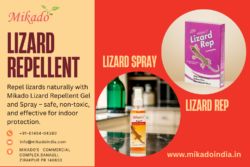 Why Mikado Lizard Spray and Lizard Rep Are the Best for Indoor Use