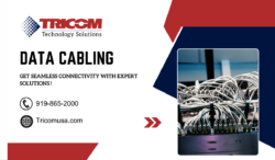 Network Systems Designed for Reliability