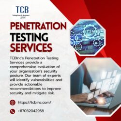 Penetration Testing Services