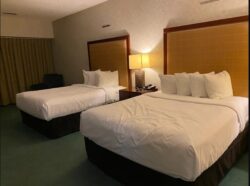 Edmonton International Airport – Nisku, AB Travel and Services Guide