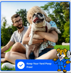 Say Goodbye to Messy Yards with the Best Pooper Scooper Services – Scoop Doggy Has You Covered!