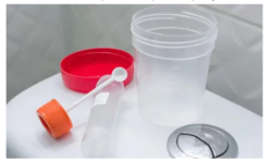 Does Stool Contain Bacteria?