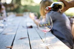 Top Cafes for Drinks & Wineries in North Georgia