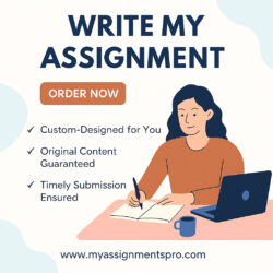 Write My Assignment Help by Professional Academic Writers