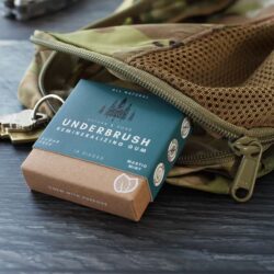 Remineralizing Gum