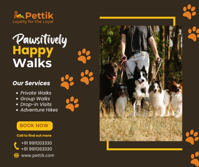 Pettik: Your One-Stop Solution for Pet Care Services