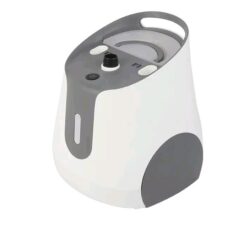 1800w Mini Household Garment Steamer