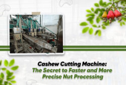 Cashew Cutting Machine: The Secret to Faster and More Precise Nut Processing
