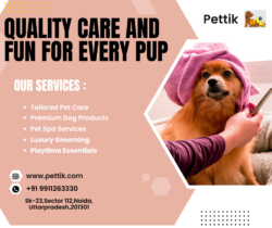 Best Pet Services in India – Pettik