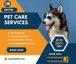 Best Pet Services in India – Pettik