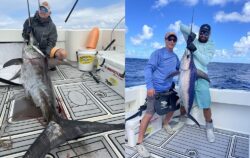 Miami Sailfish Charters