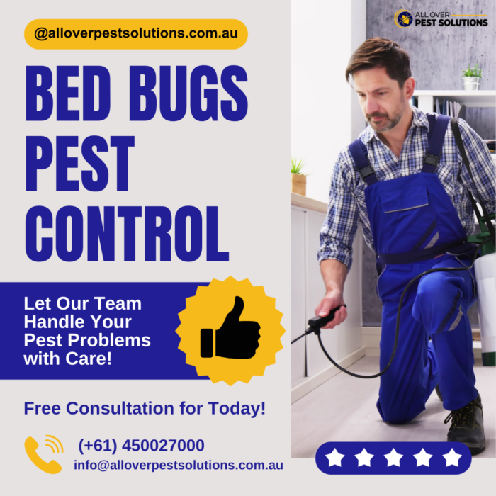Bed Bugs Pest Control – Fast, Safe & Reliable