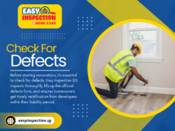 Check For Defects