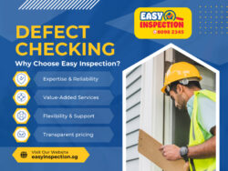 Defect Checking